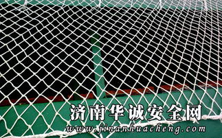 圖片 品牌 生產供應商廠家 濟南安全網 華誠濟南密目式安全網勞動防護用品廠